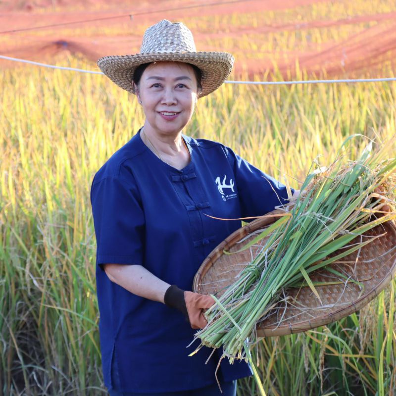รูปภาพประกอบข่าว