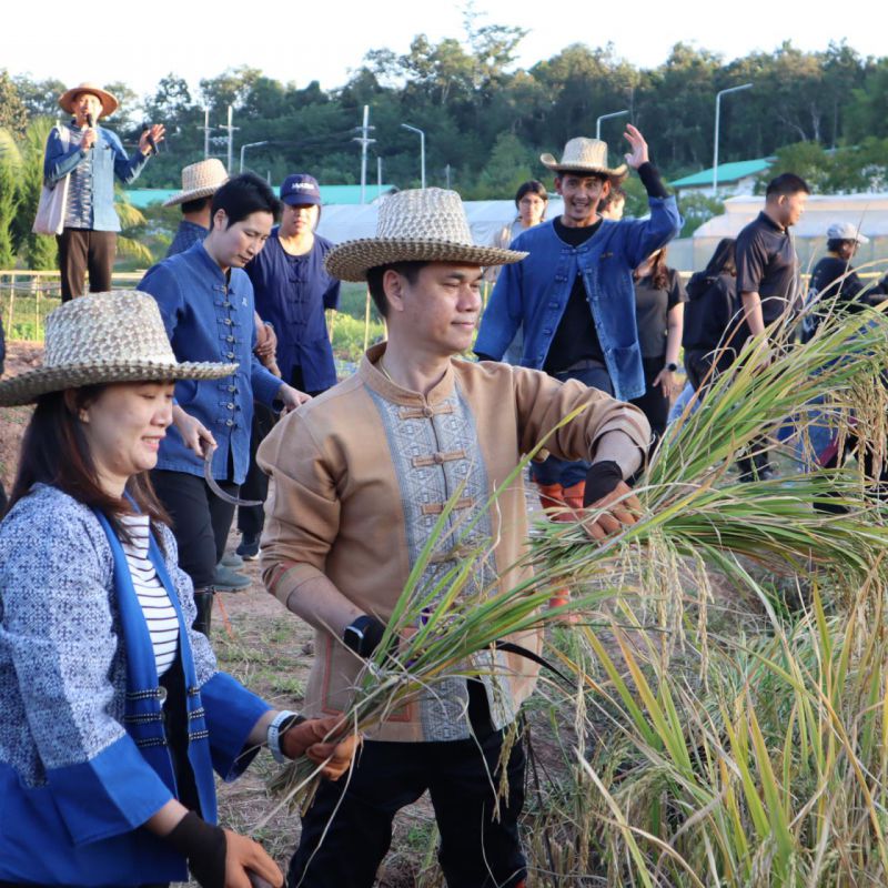 รูปภาพประกอบข่าว