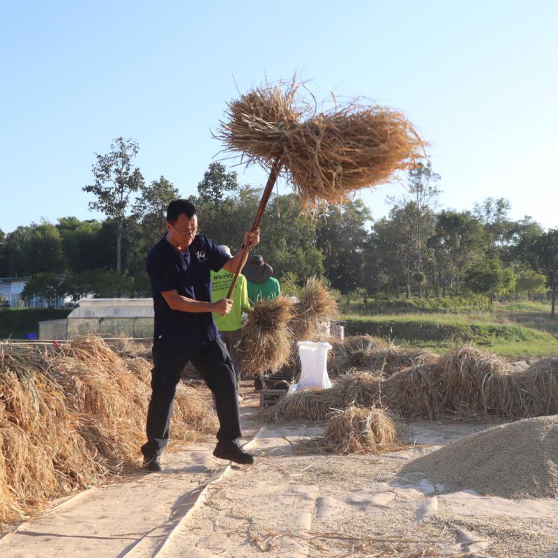 รูปภาพประกอบข่าว