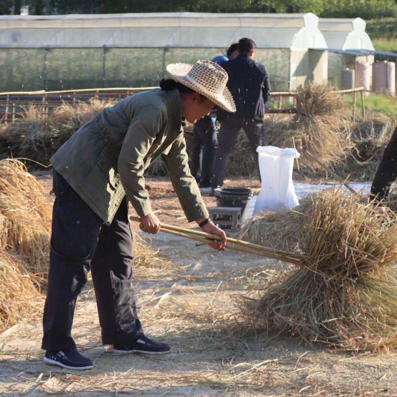 รูปภาพประกอบข่าว