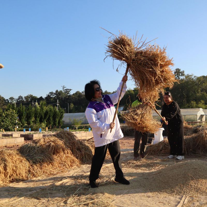 รูปภาพประกอบข่าว