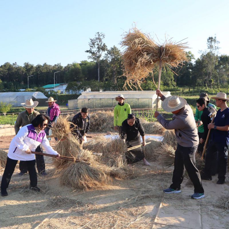 รูปภาพประกอบข่าว