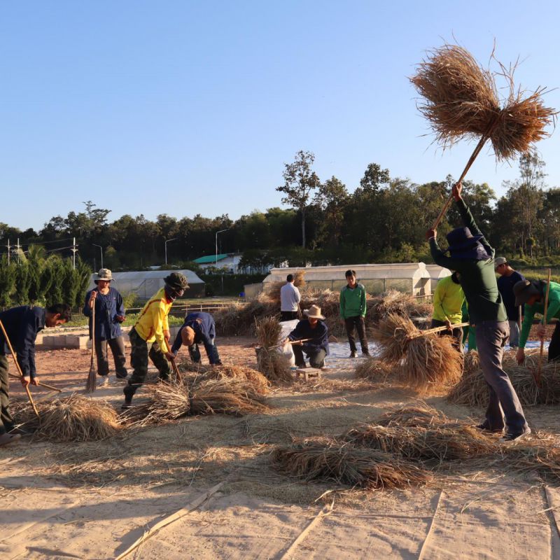 รูปภาพประกอบข่าว